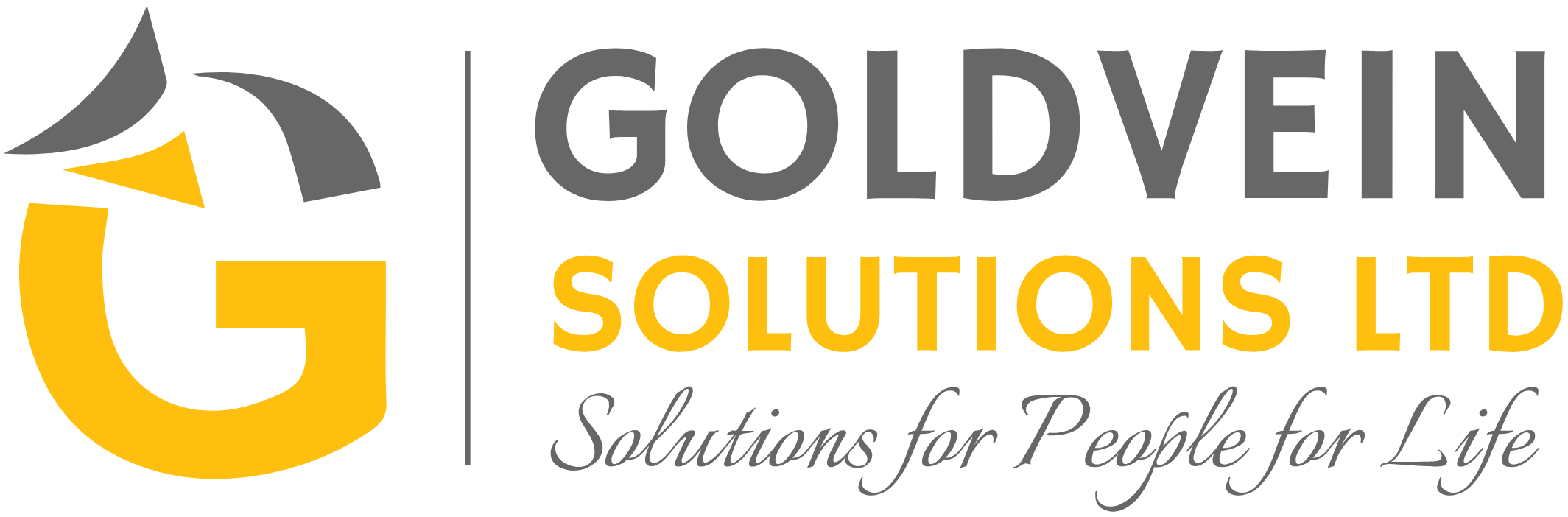 Goldvein Solutions Ltd